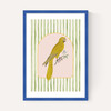 Eccentric Parrot