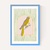 Eccentric Parrot