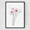 Gerbera Daisy (Pink) Narrow Black Frame