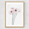 Gerbera Daisy (Pink) Medium Oak Frame