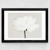 White Bloom Serenity Wide Black Frame