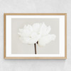 White Bloom Serenity Medium Oak Frame