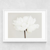 White Bloom Serenity Medium White Frame
