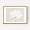 White Bloom Serenity