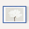 White Bloom Serenity