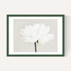 White Bloom Serenity