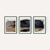 Snap Triptych