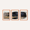 Snap Triptych