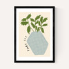 Parsley Plant