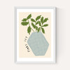 Parsley Plant
