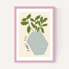 Parsley Plant