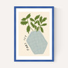 Parsley Plant