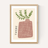 Thyme Plant