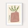 Thyme Plant