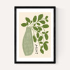 Mint Plant