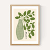 Mint Plant