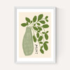 Mint Plant