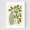 Mint Plant Medium White Frame