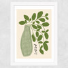 Mint Plant Wide White Frame