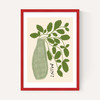 Mint Plant