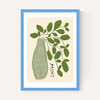 Mint Plant