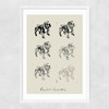 Bulldog II Narrow White Frame