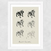 Bulldog II Wide White Frame