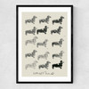 Doxie II Narrow Black Frame