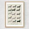 Doxie II Medium Oak Frame
