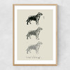 Lab II Narrow Oak Frame