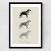 Lab II Medium Black Frame