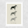 Lab II Narrow White Frame