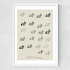 Scottie II Medium White Frame