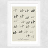 Scottie II Wide White Frame