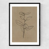 Eucalyptus Sapling Narrow Black Frame