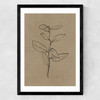 Eucalyptus Sapling Medium Black Frame