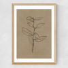 Eucalyptus Sapling Medium Oak Frame