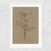 Eucalyptus Sapling Narrow White Frame