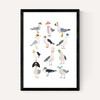 Fashion Seagulls