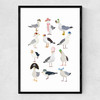 Fashion Seagulls Narrow Black Frame