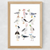 Fashion Seagulls Wide Oak Frame
