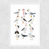 Fashion Seagulls Narrow White Frame