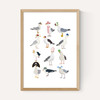 Fashion Seagulls