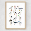 Fashion Seagulls Medium Oak Frame