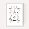 Fashion Seagulls