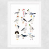 Fashion Seagulls Wide White Frame