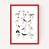Fashion Seagulls
