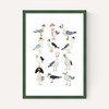Fashion Seagulls