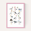 Fashion Seagulls