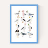 Fashion Seagulls